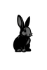 Black Bunny - Home